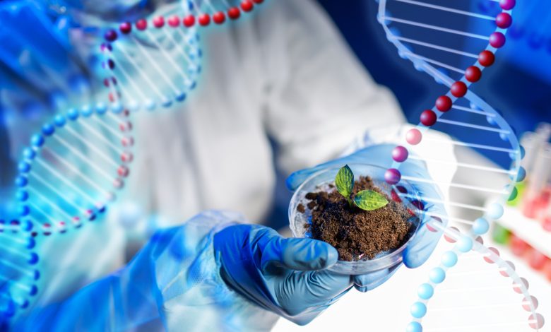 Photo of Применение генной инженерии в растениеводстве